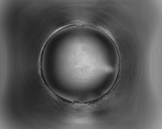 X0000089381056200706151201