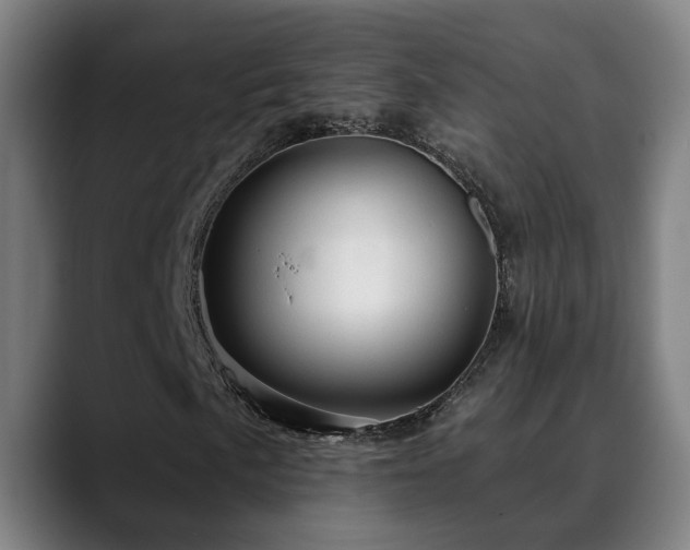 X0000089381057200706151200
