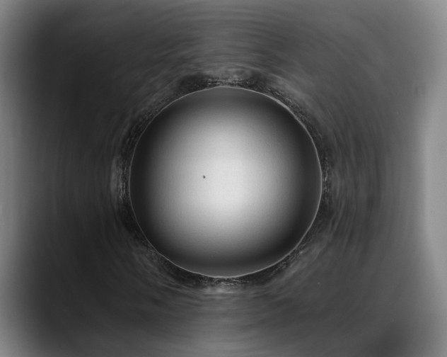 X0000089381058200706151200