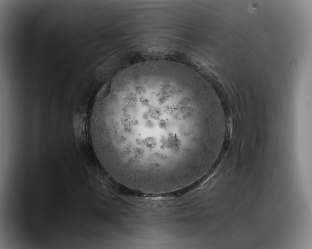 X0000089381059200706151200