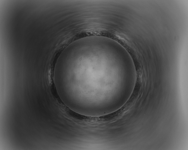 X0000089381060200706151200