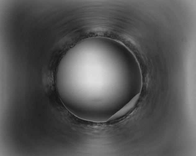X0000089381062200706151200