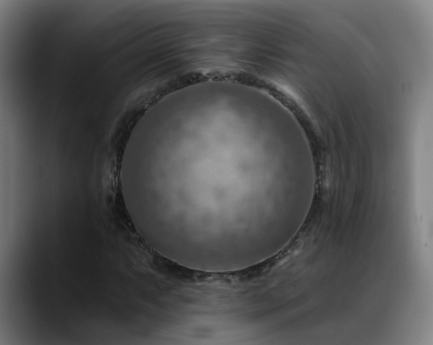 X0000089381063200706151200