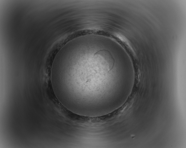 X0000089381064200706151200
