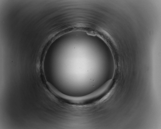 X0000089381065200706151200