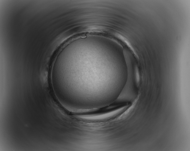 X0000089381066200706151200
