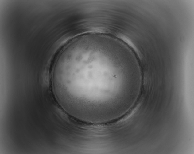 X0000089381067200706151200