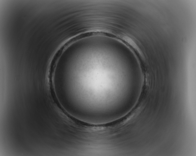 X0000089381068200706151200