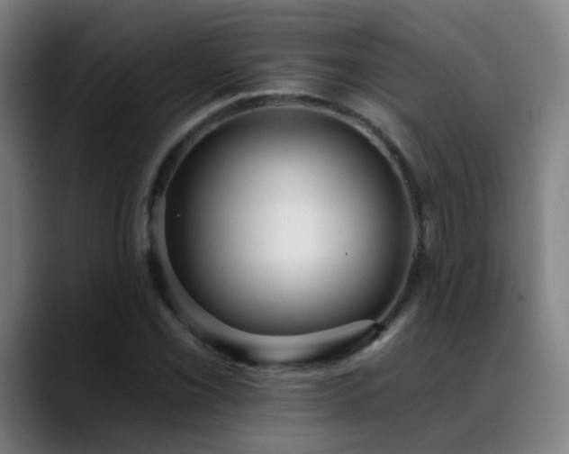 X0000089381069200706151200