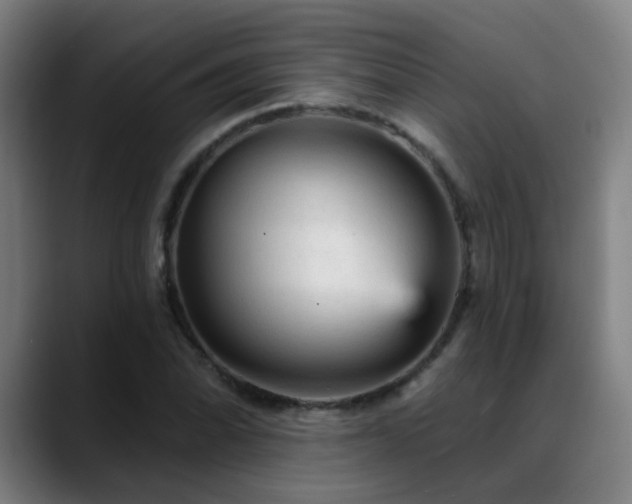 X0000089381070200706151200