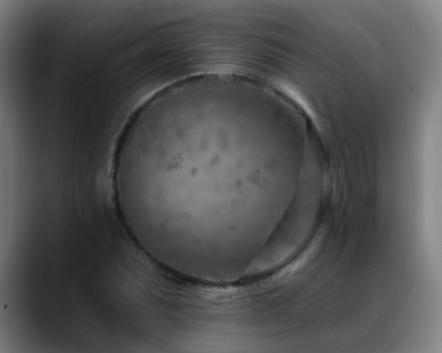 X0000089381071200706151200