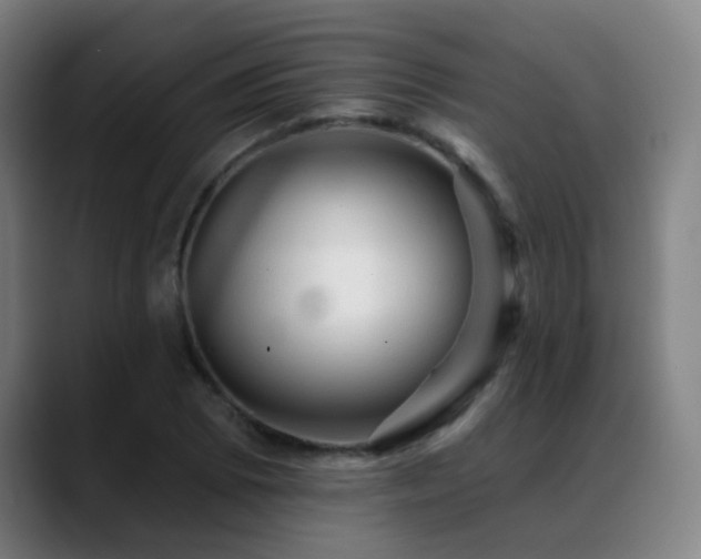 X0000089381073200706151200
