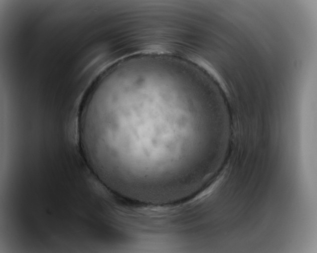 X0000089381075200706151200