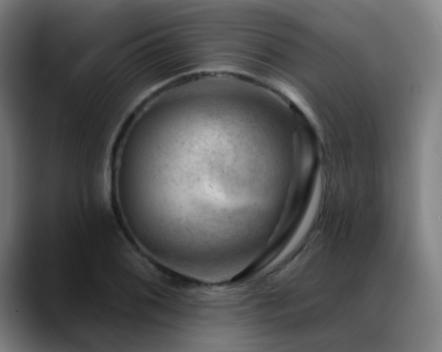 X0000089381076200706151200