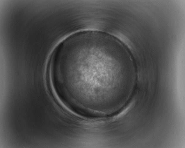 X0000089381077200706151200