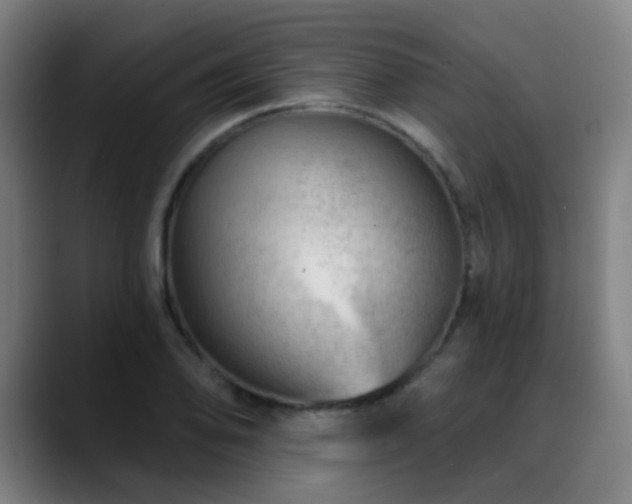 X0000089381078200706151200
