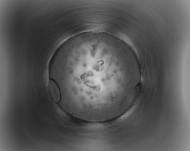 X0000089381079200706151200