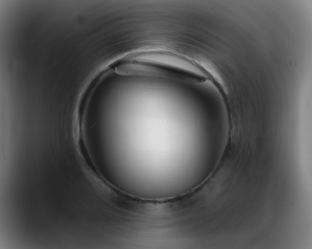 X0000089381080200706151200