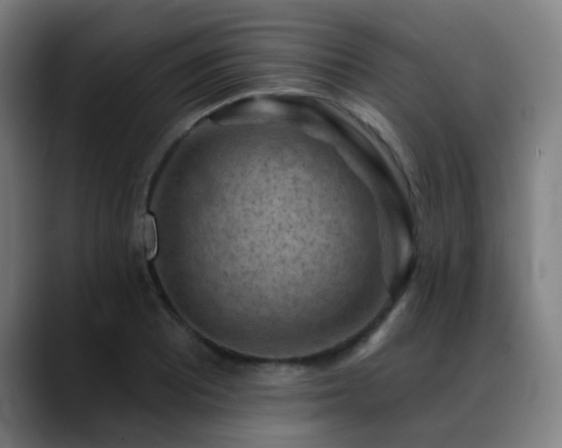 X0000089381081200706151200