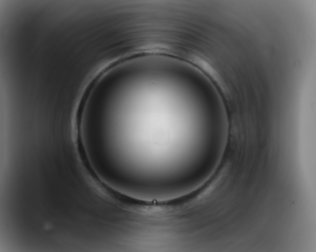 X0000089381082200706151200