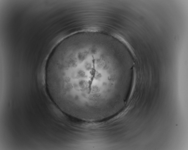 X0000089381083200706151200