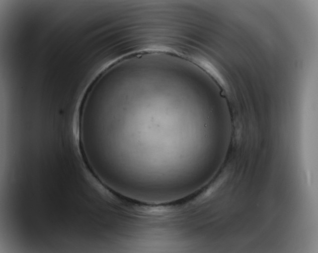 X0000089381084200706151200