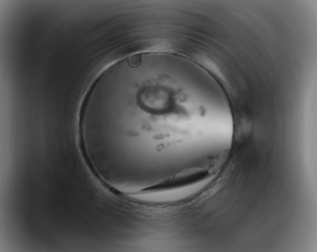 X0000089381087200706151200