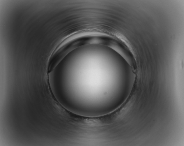 X0000089381089200706151200