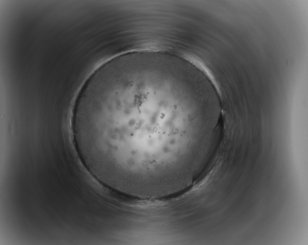X0000089381091200706151200