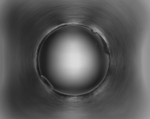 X0000089381093200706151200