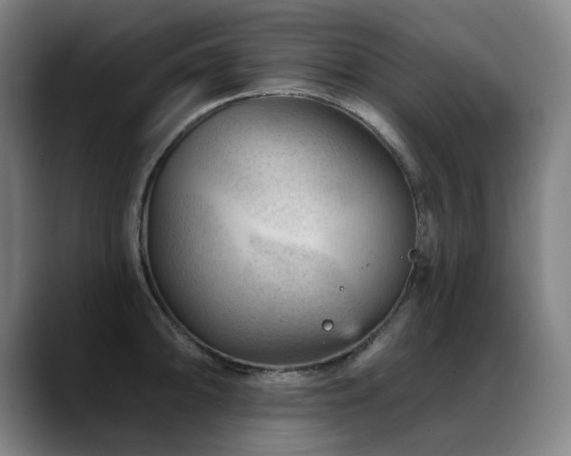 X0000089381094200706151200