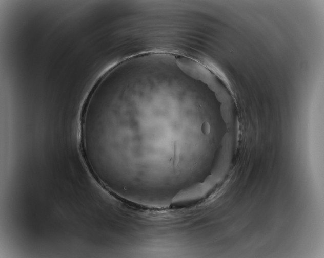 X0000089381095200706151200