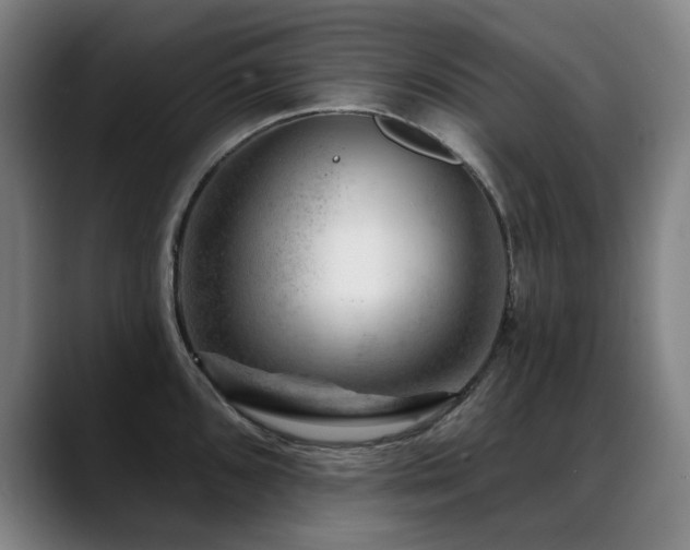X0000089381096200706151200