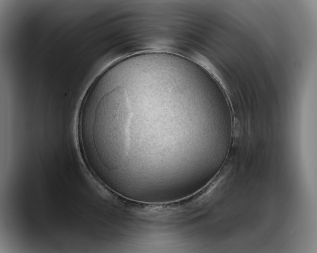 X0000089381098200706151200
