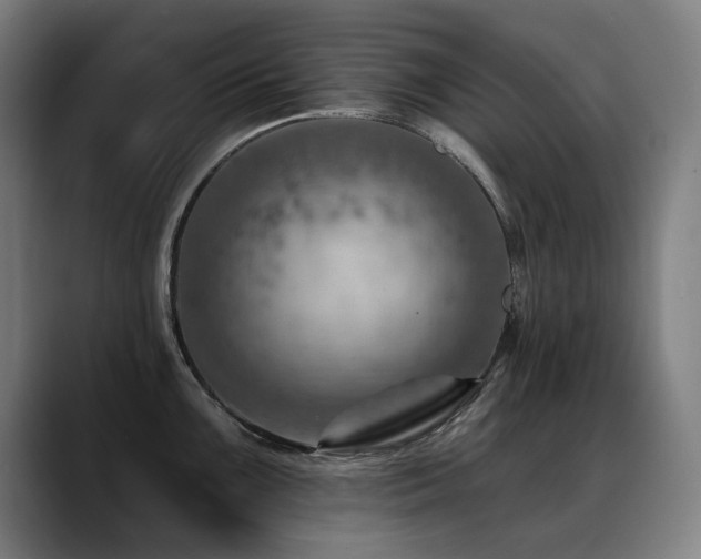X0000089381099200706151200