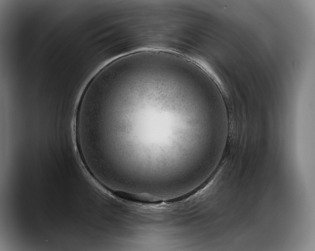 X0000089381100200706151200