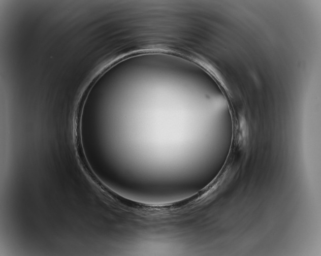 X0000089381101200706151159