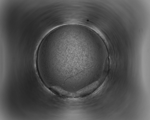 X0000089381102200706151159
