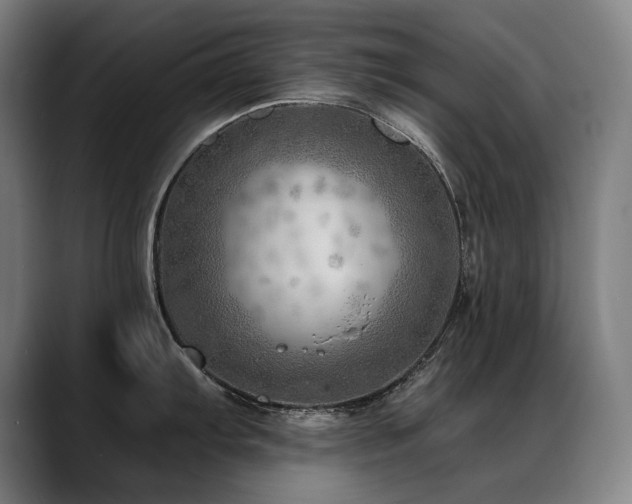 X0000089381103200706151159