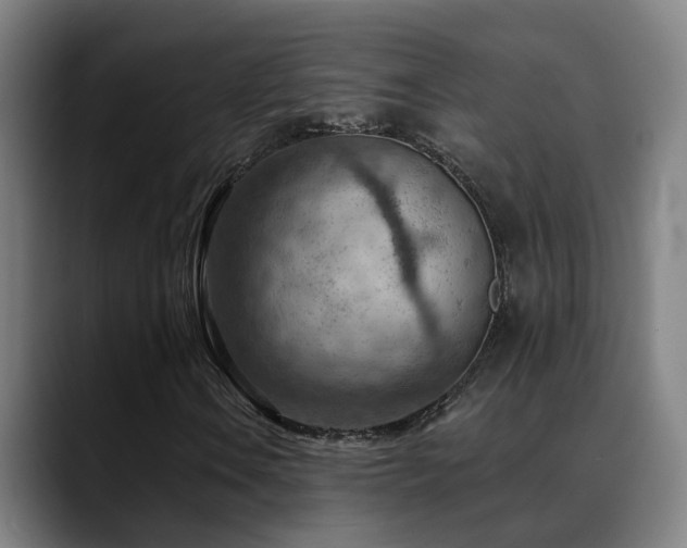 X0000089381106200706151159