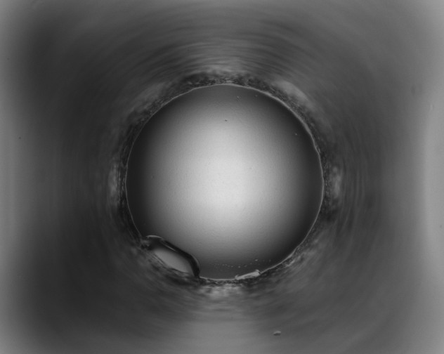 X0000089381110200706151159
