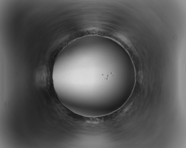 X0000089381111200706151159