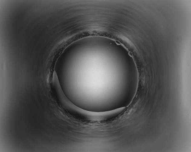 X0000089381112200706151159