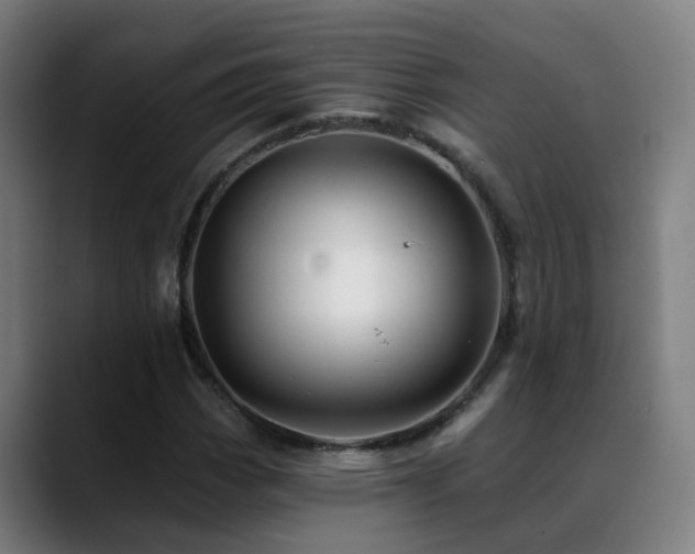 X0000089381113200706151159