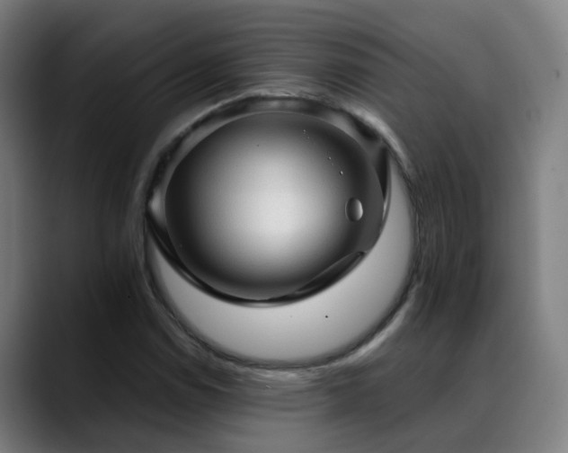 X0000089381114200706151159