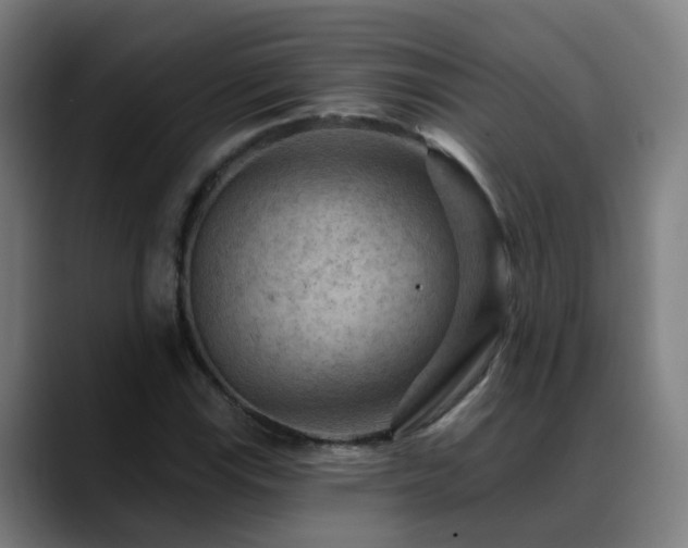 X0000089381115200706151159