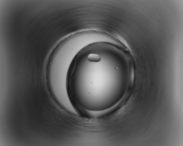 X0000089381116200706151159