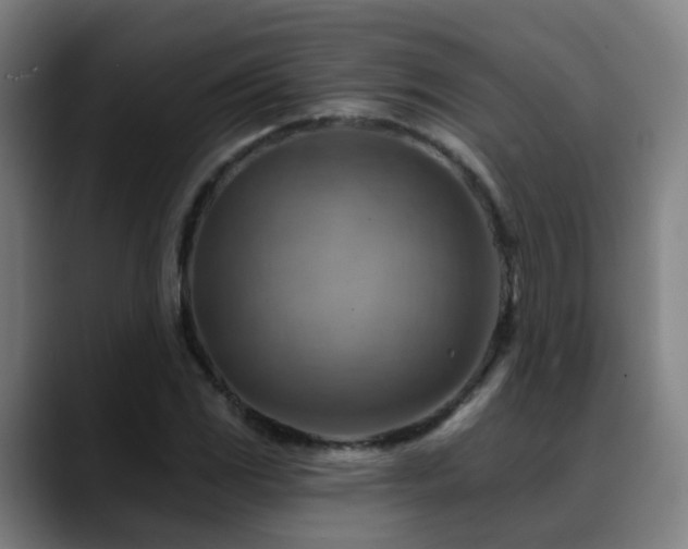 X0000089381117200706151159