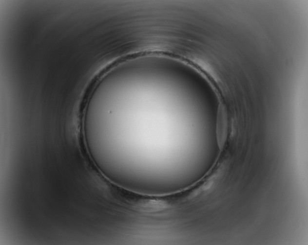 X0000089381119200706151159