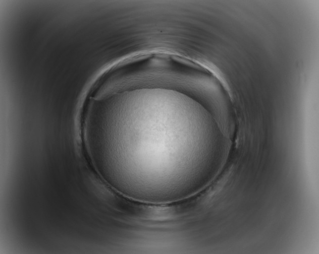 X0000089381120200706151159